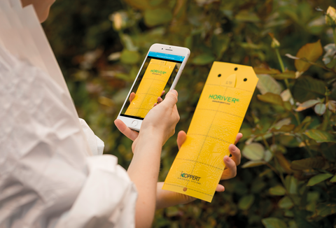 IFTF 2019 - Koppert presents its innovative scouting app