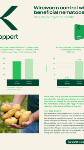 trial results wireworm control