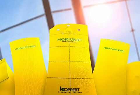 Koppert launches new range of insect traps