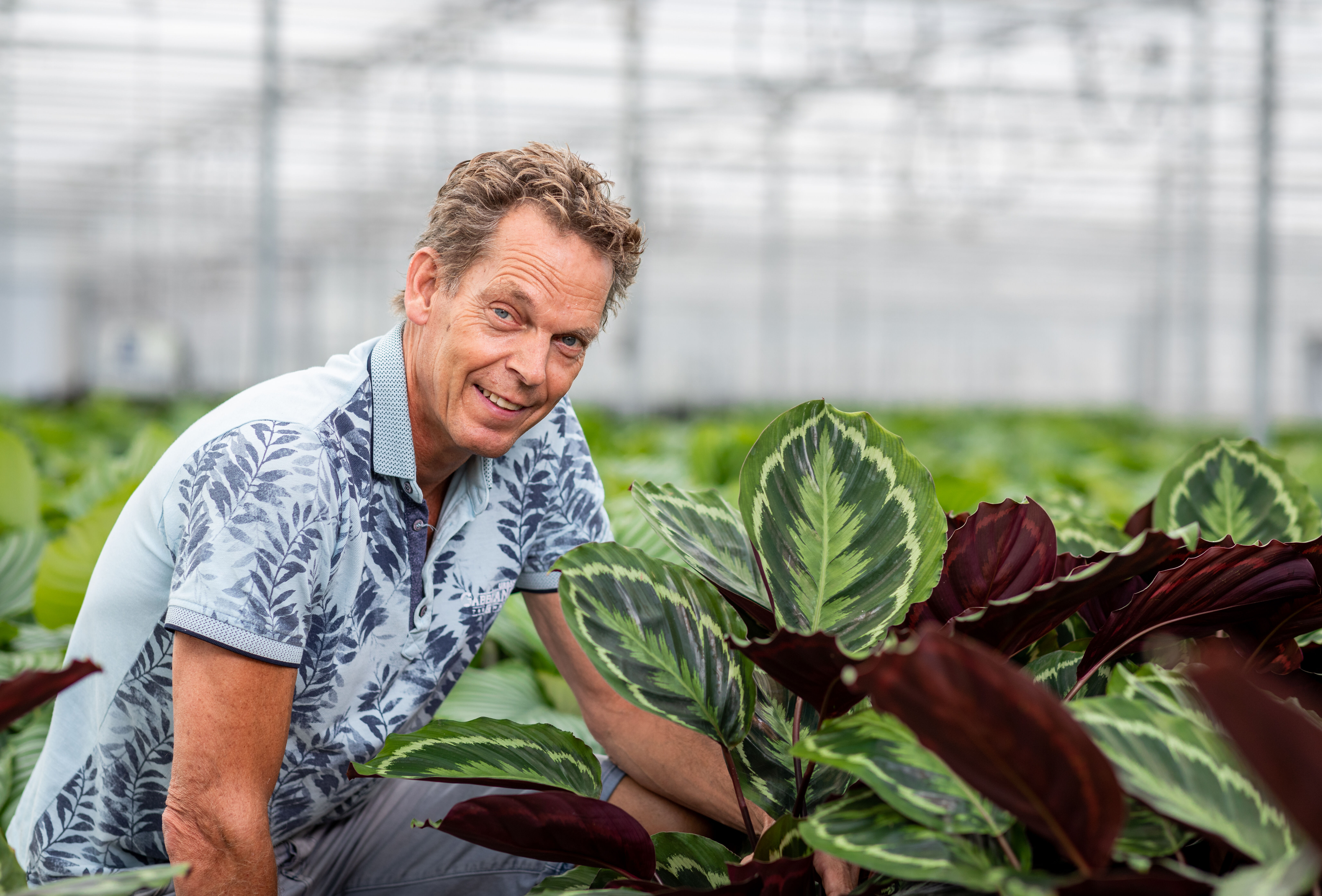 Shadowplant: no longer throwing plants away thanks to maximum biological use