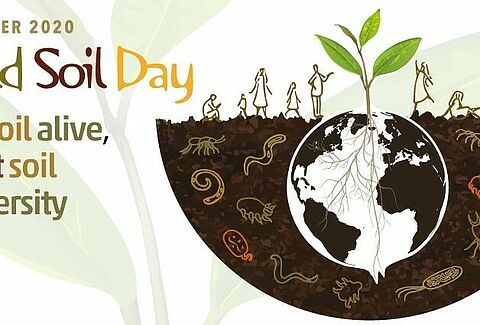 World Soil Day