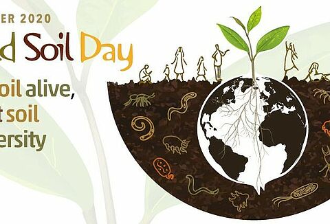 World Soil Day