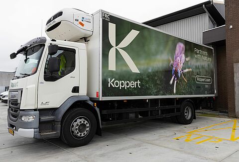 Paving the way for a greener tomorrow on World Sustainable Transport Day