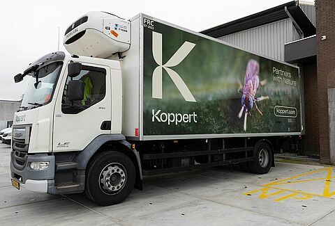 Paving the way for a greener tomorrow on World Sustainable Transport Day