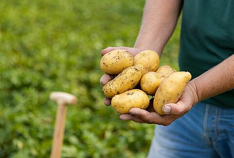 2023 trial season proves value of biological solutions in outdoor crops