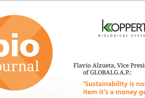 A preview on our new Biojournal?