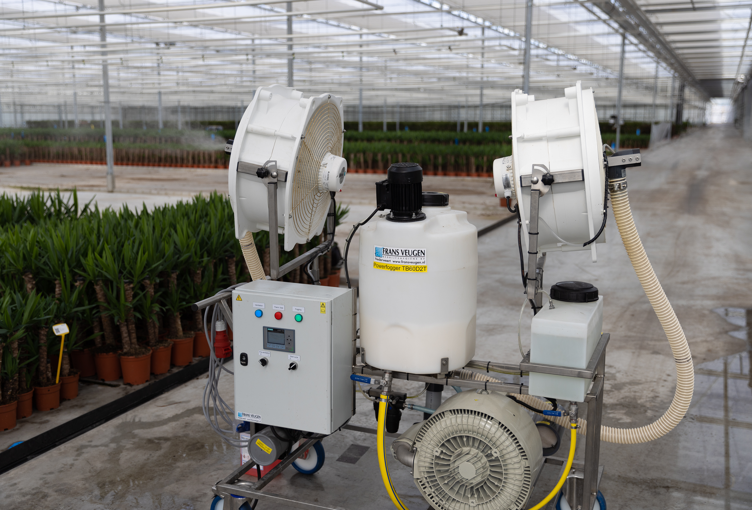 Mycotal: Effective LVM application