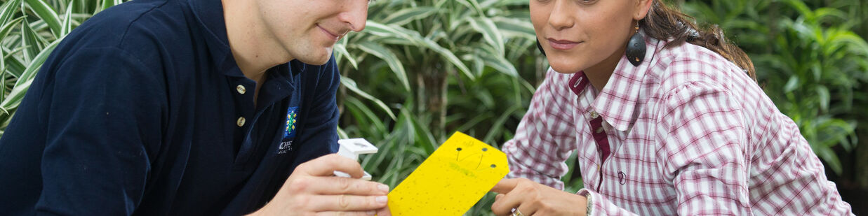 Effective control of Myzus persicae