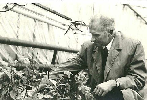 From pioneer to market leader: Koppert celebrates its fiftieth anniversary