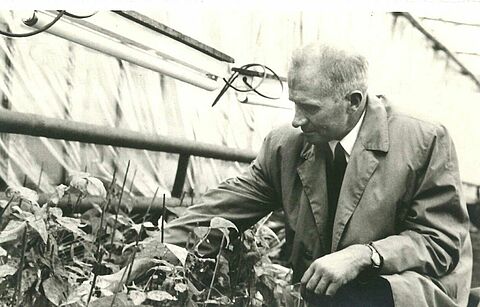 From pioneer to market leader: Koppert celebrates its fiftieth anniversary