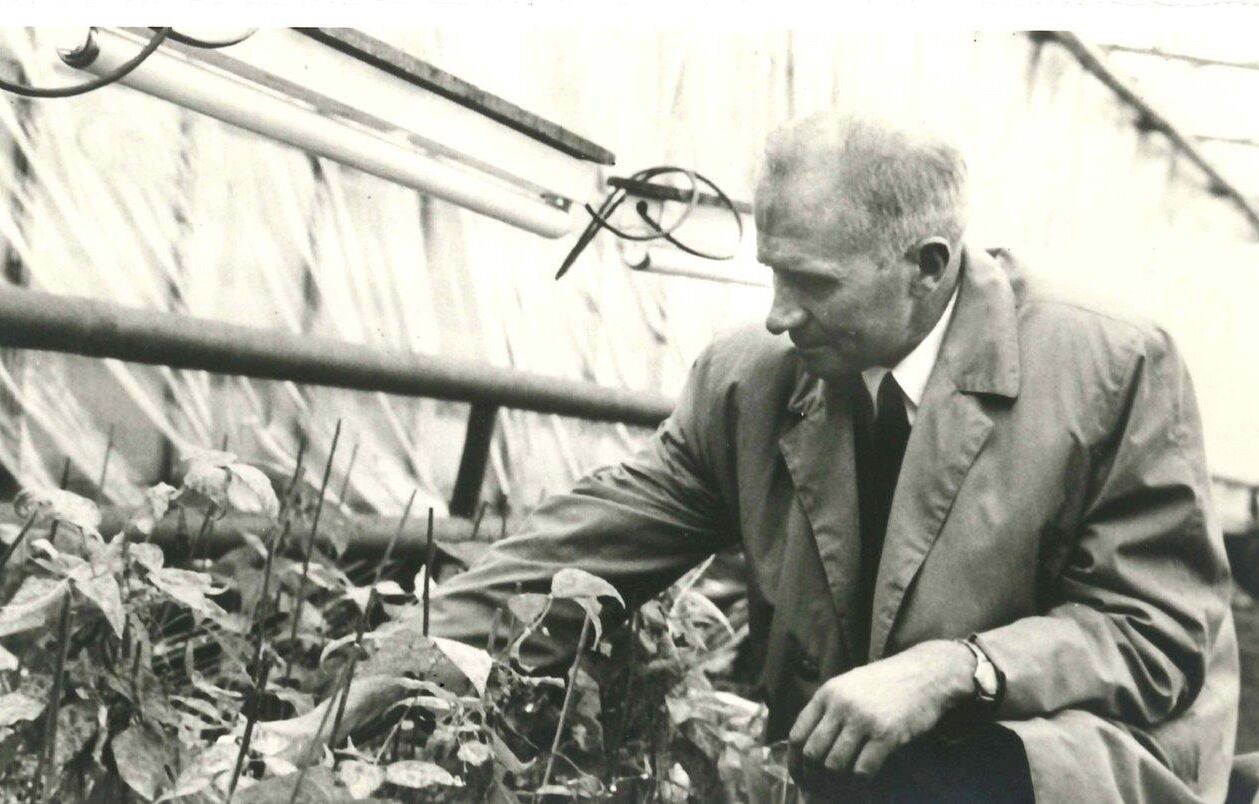 From pioneer to market leader: Koppert celebrates its fiftieth anniversary