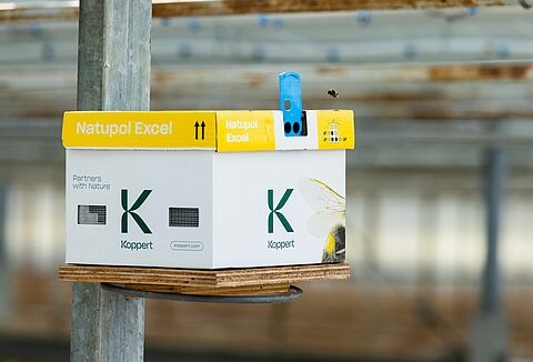Koppert bumblebee hives: fresh look, trusted quality