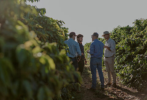 Advancing biological crop protection in outdoor crops in partnership with growers