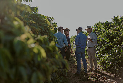 Advancing biological crop protection in outdoor crops in partnership with growers