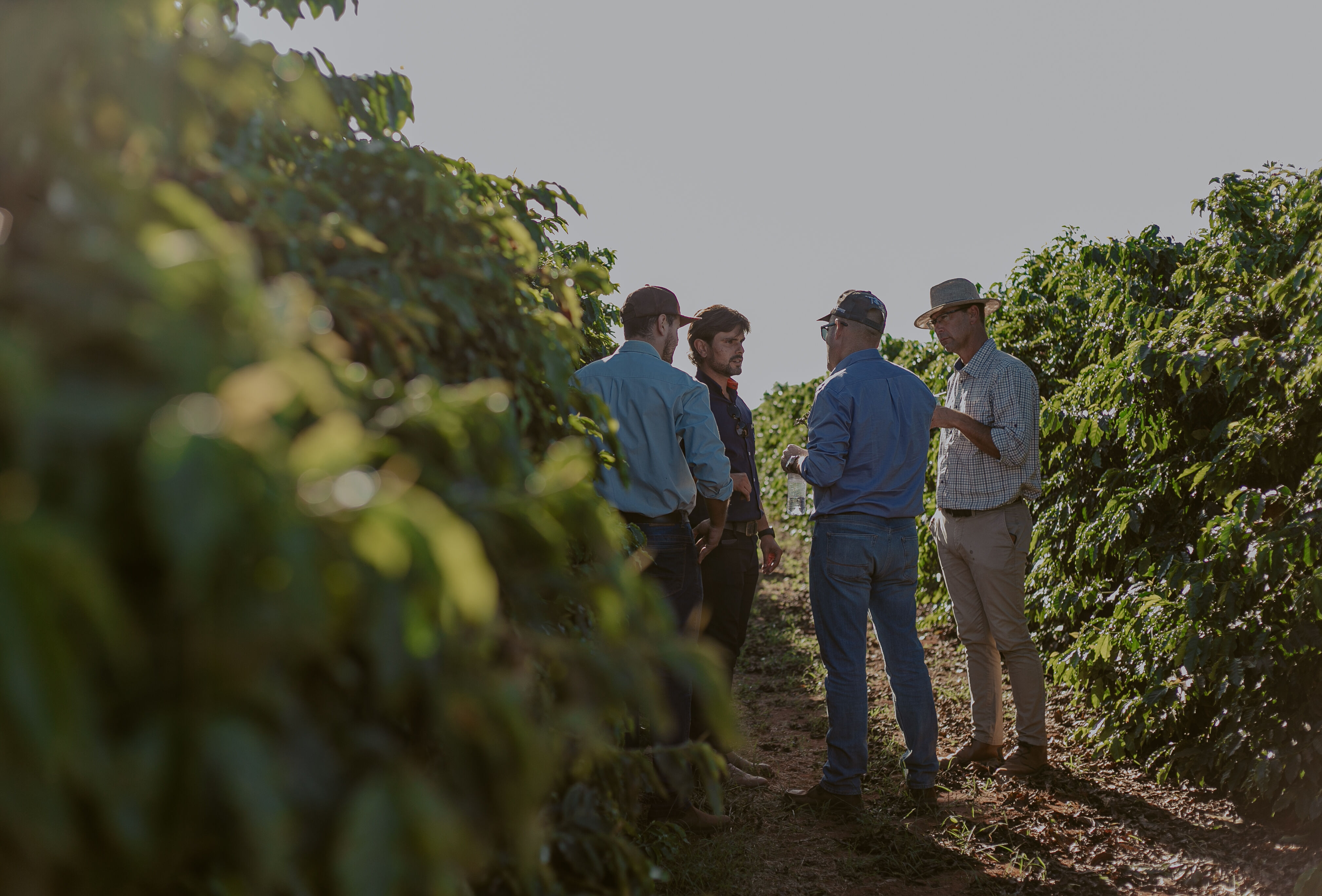Advancing biological crop protection in outdoor crops in partnership with growers