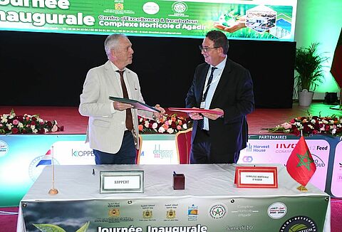 Koppert: Key partner of Agadir Horticultural Complex in R&D