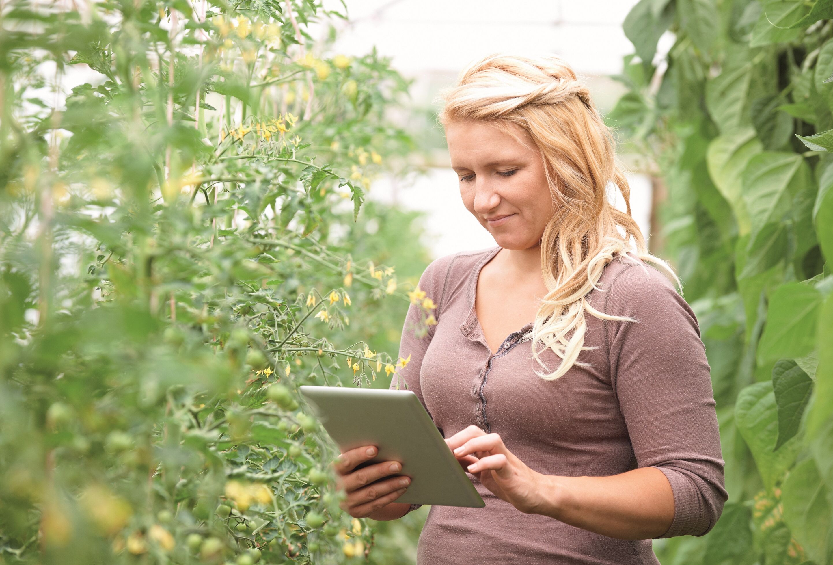 Intelligent Pest Management is as close as your mobile phone