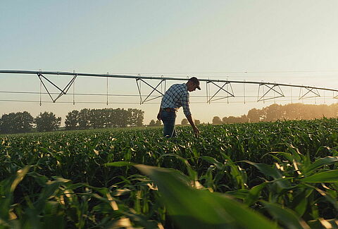 Nurturing soil and water for a sustainable tomorrow