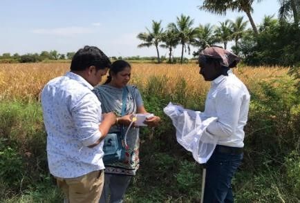 New foothold for integrated crop protection via CABI