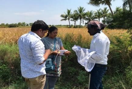 New foothold for integrated crop protection via CABI