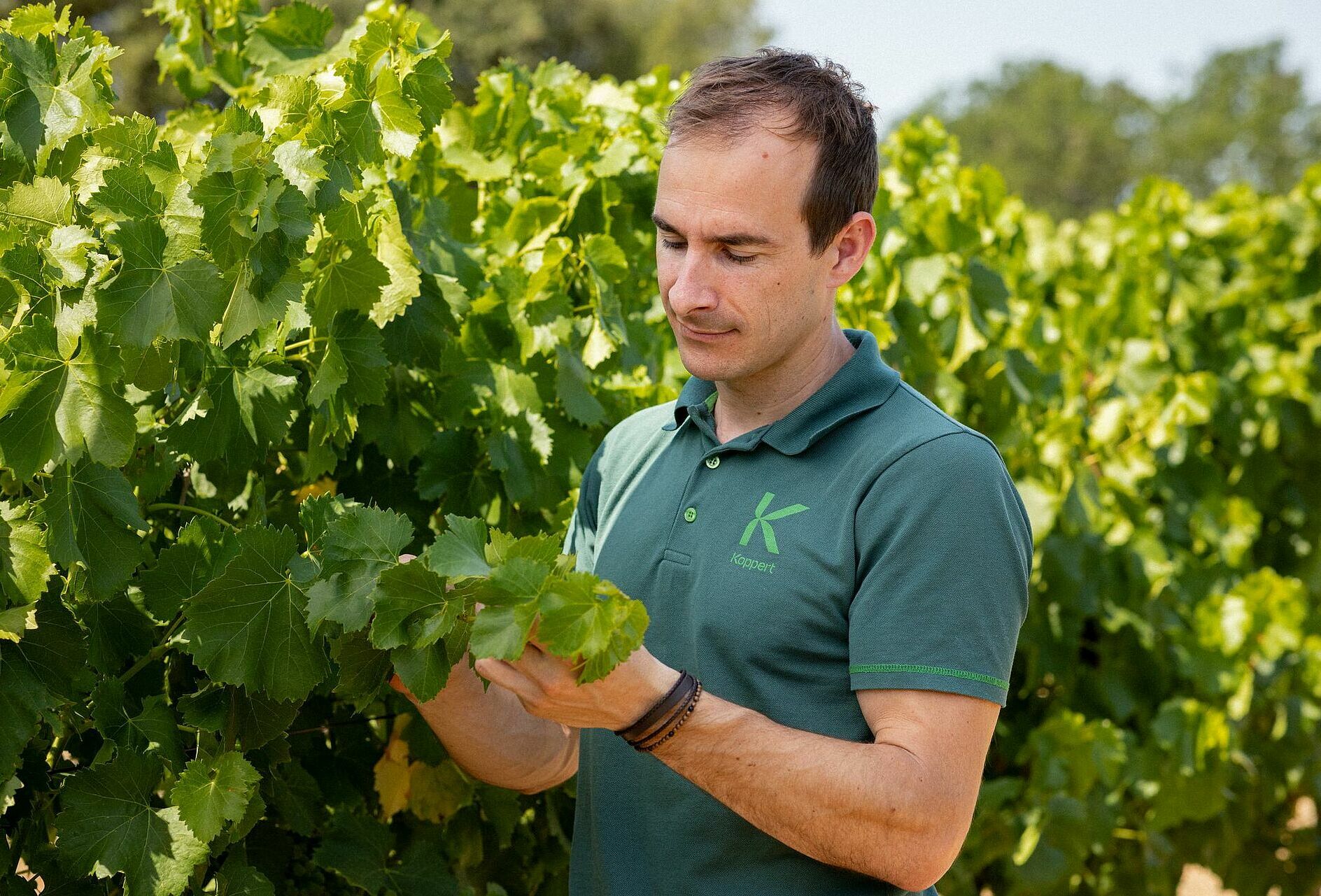 Fruit Attraction 2026 - Koppert Event