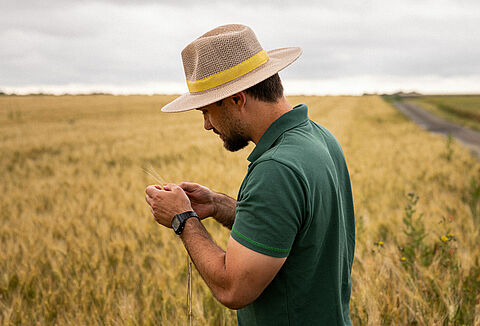 Integrating biocontrol solutions with IPM strategies