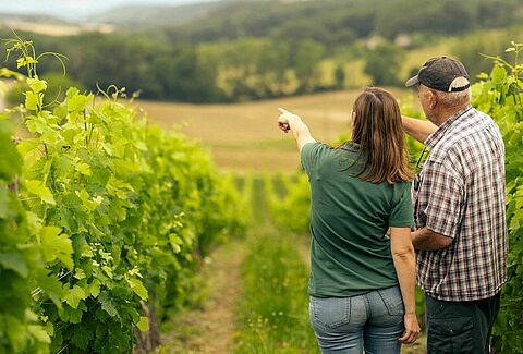 Effective control of foliar grapevine diseases with Tiagan