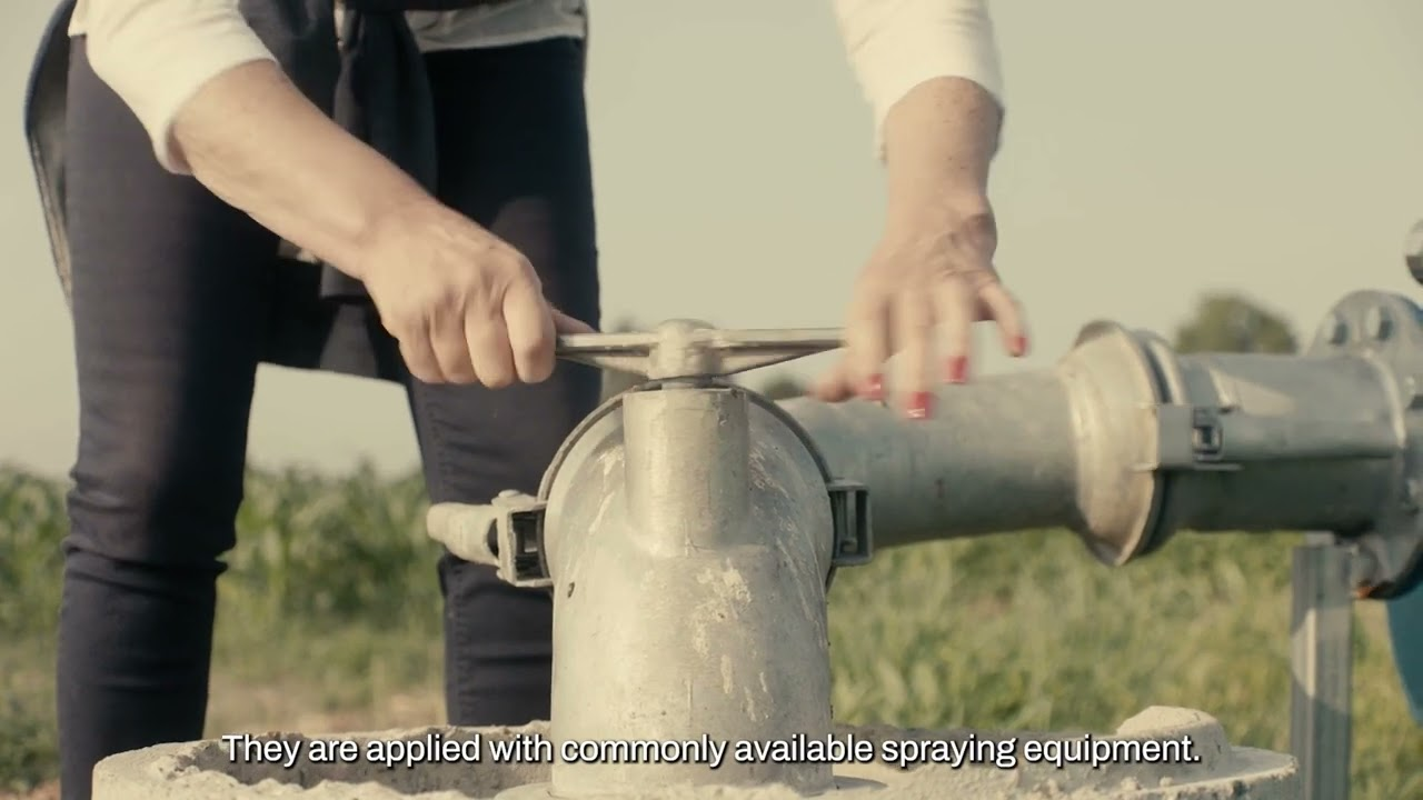 Capyphor - Beneficial Nematodes for Beetle Control (Heterohabditis bacteriophora)