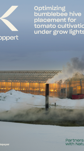 Optimal bumblebee hive placement for tomato cultivation under artificial lights