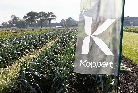 Biological solutions for today’s vegetable growing challenges at Bejo Open Days 2026
