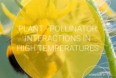 Crucial information on pollination at high temperatures