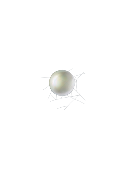 Tetranychus urticae egg