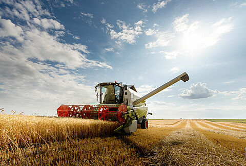 The importance of early disease control
