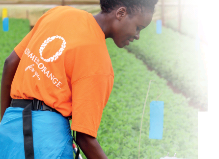 GreenGuard by Dümmen Orange: for a sustainable chain