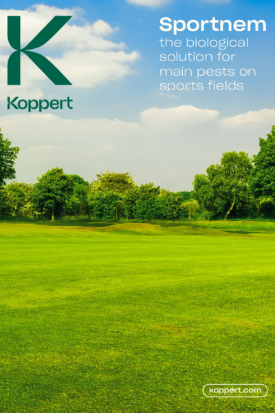Sportnem brochure