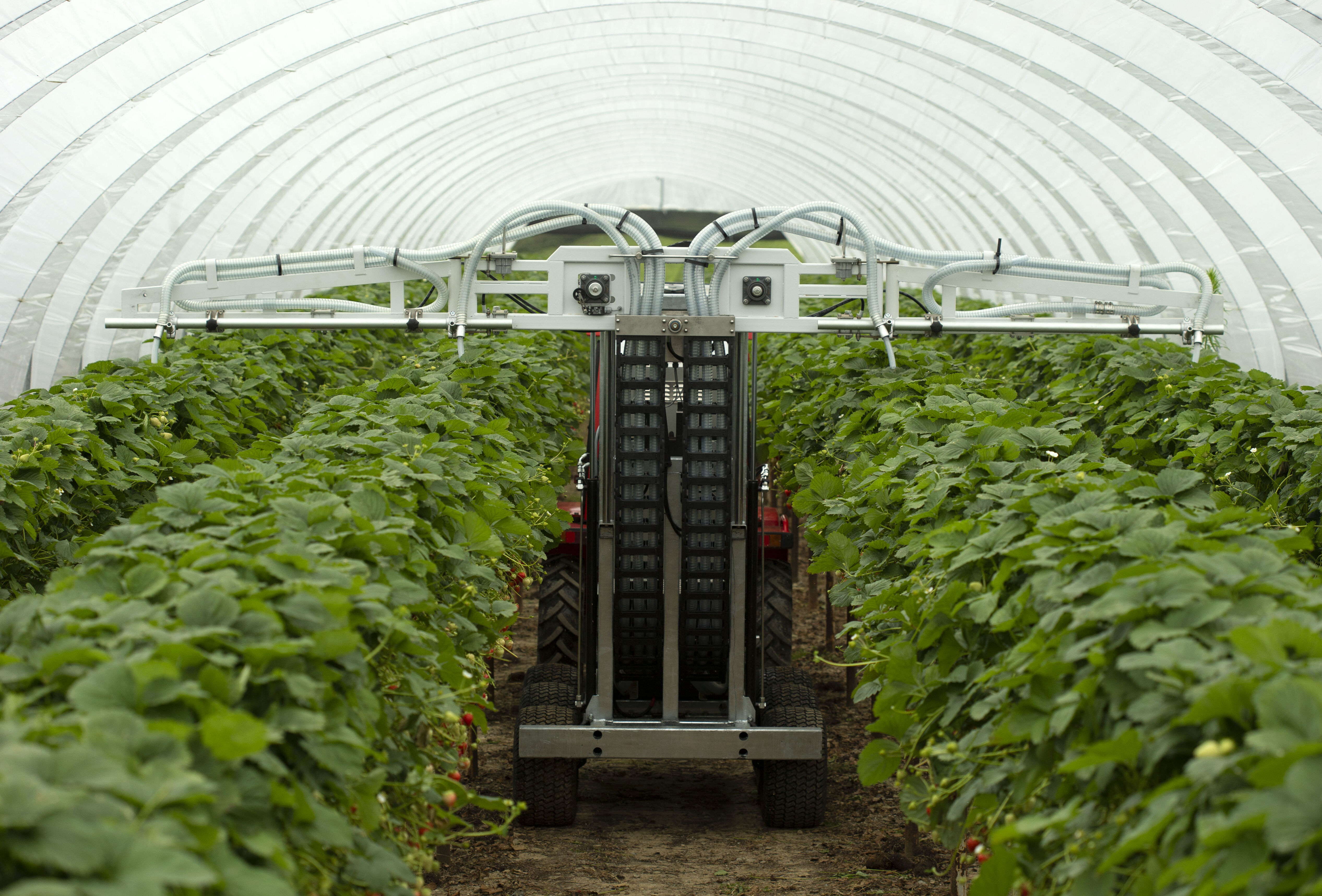 Natutec Drive demo at Delphy soft fruit Field Day