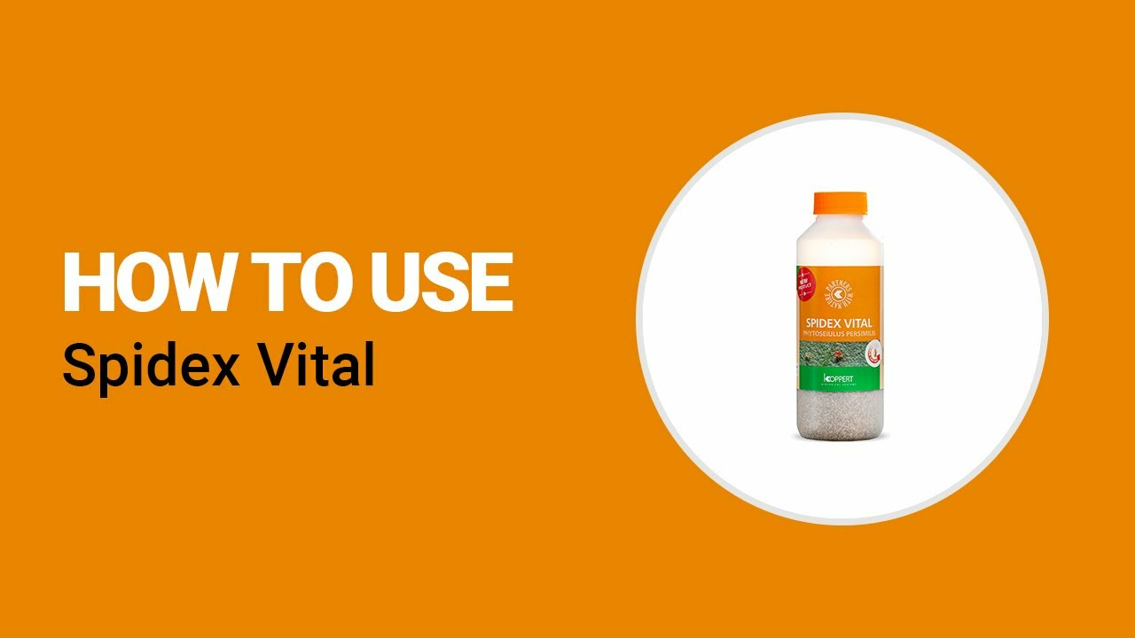 How to use Spidex Vital from Koppert