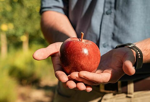 Dedication and collaboration: Empowering growers through field trials around the world