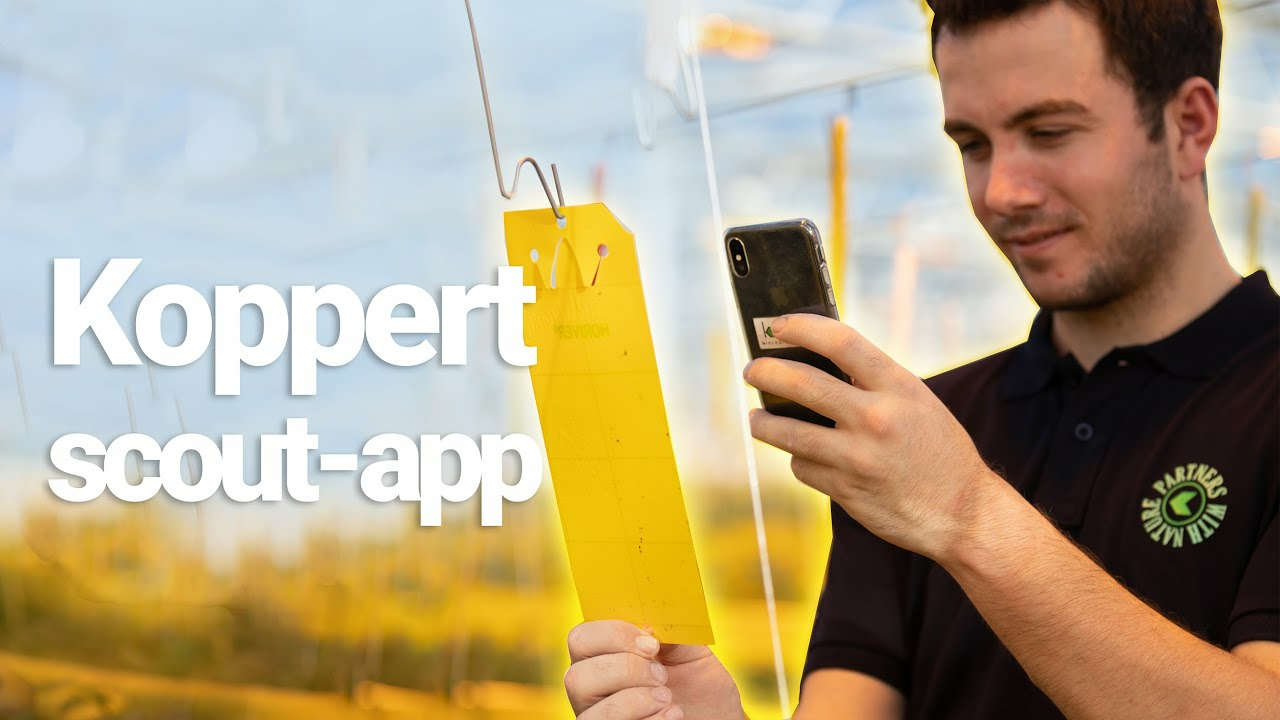 The Koppert scout-app The Koppert scout-app