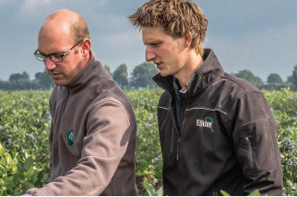 ‘Tripol bumblebees deliver consistent high quality’