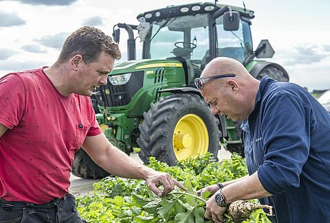 Uniform emergence and fewer losses thanks to Trianum