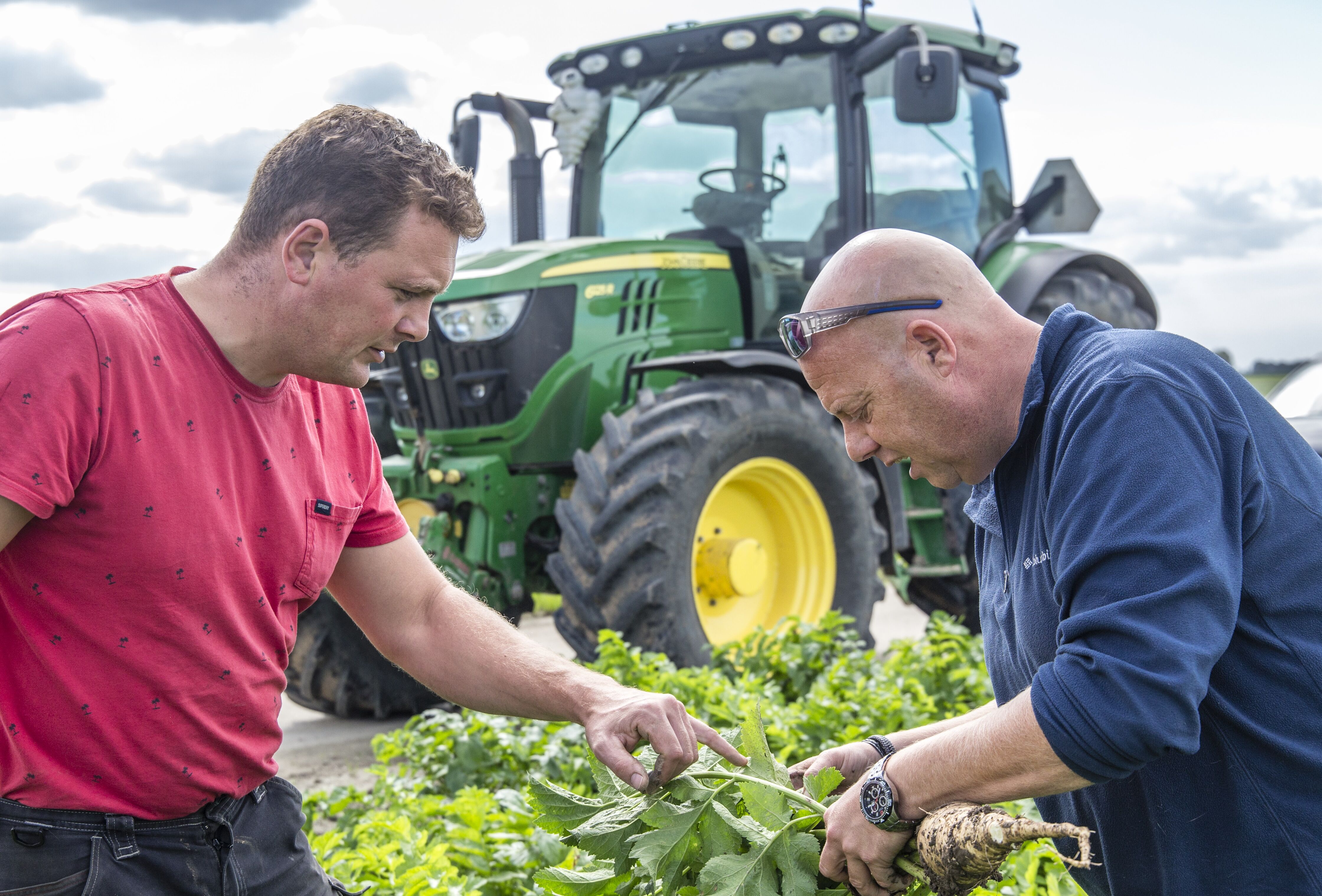 Uniform emergence and fewer losses thanks to Trianum