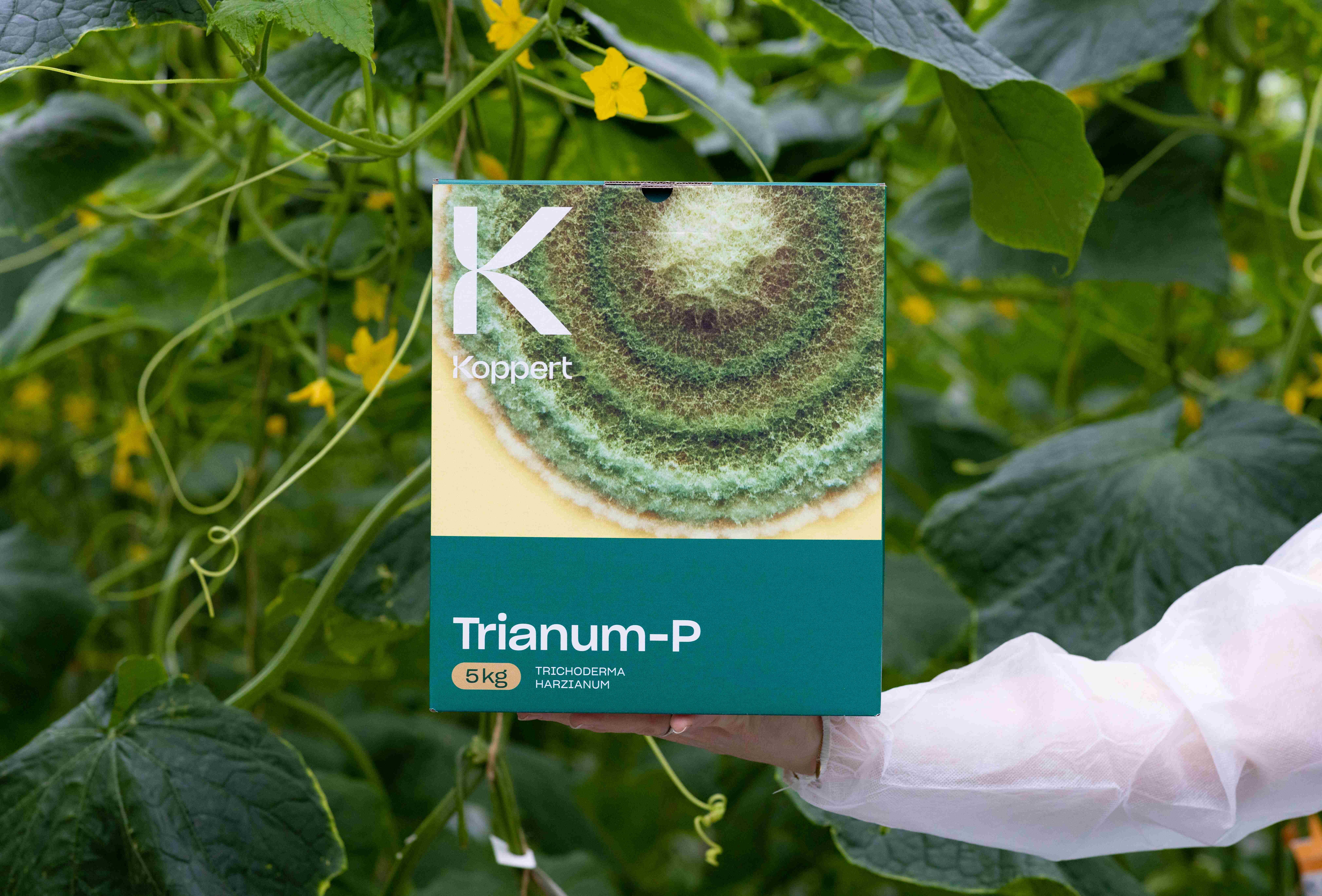 Effective control of soil-borne diseases with Trianum