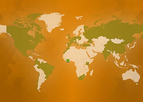 Koppert broadens its activities in Africa