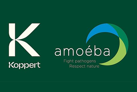 Koppert partners with Amoéba to launch innovative biofungicide solution
