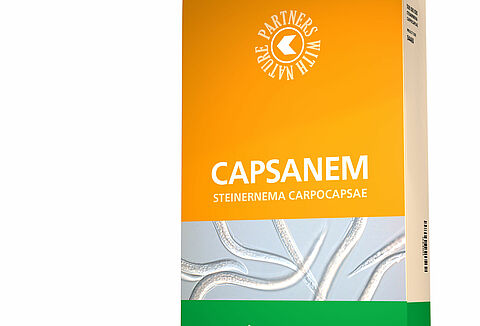 Capsanem controls box tree moth biologically