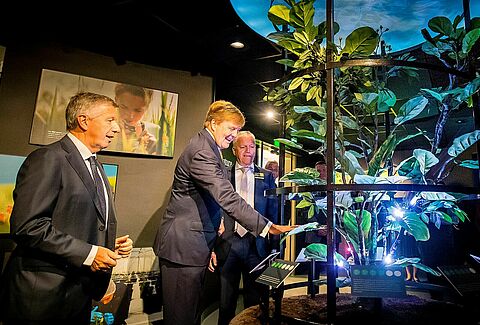 Dutch King attends Koppert’s jubilee