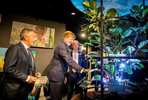 Dutch King attends Koppert’s jubilee