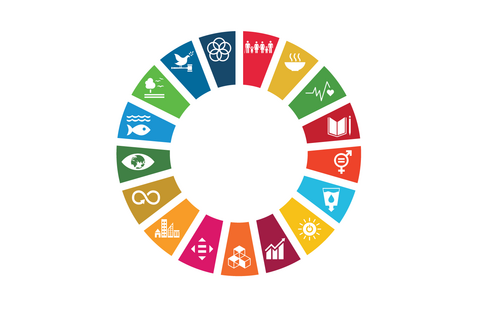 Sustainable Development Goals