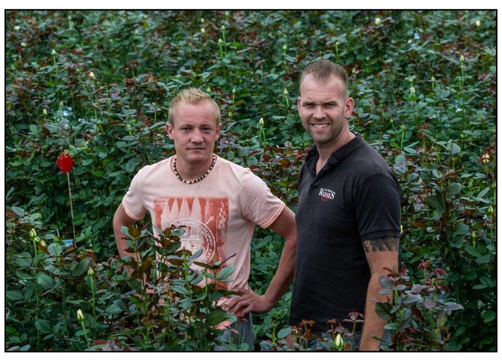 Outstanding result against aphids